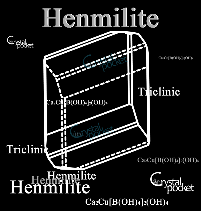 팩 Henmilite ւ݂ z } i