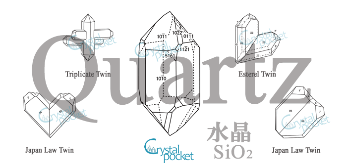  {o QUARTZ 傤 ɂق񂵂傤 z }@i