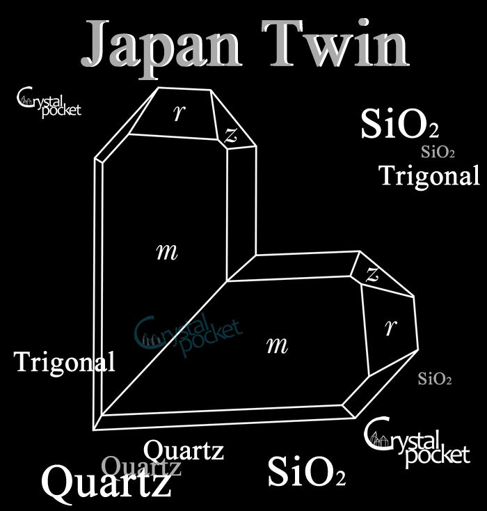  {o QUARTZ 傤 ɂق񂵂傤 z } i